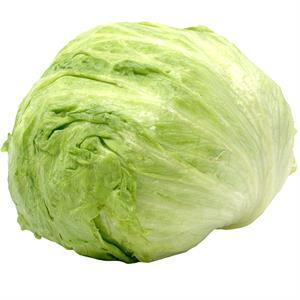 Lettuce Cello, 1 Ea