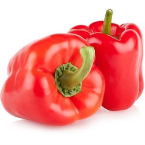 Pepper Red Holland
