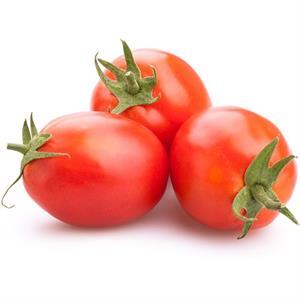 Tomato Plum