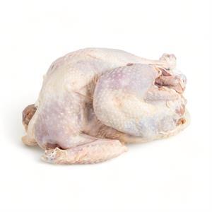 Whole Chicken Brollier