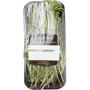 Six 60 One Fresh Rosemary